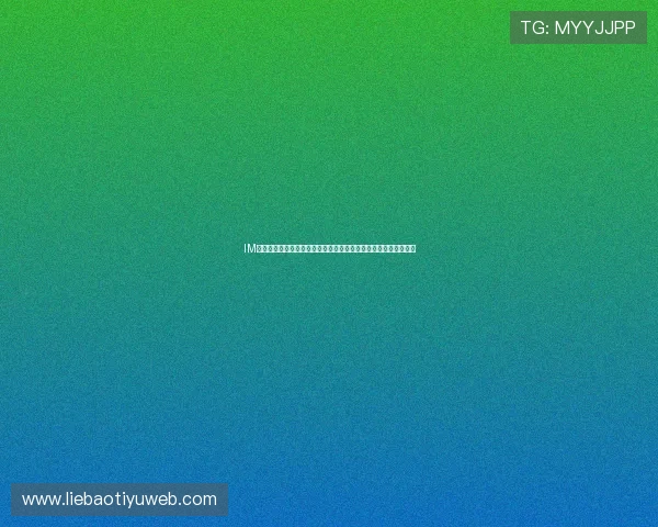 IM电竞登录入口最新版本更新指南，确保玩家顺利登录体验流畅游戏